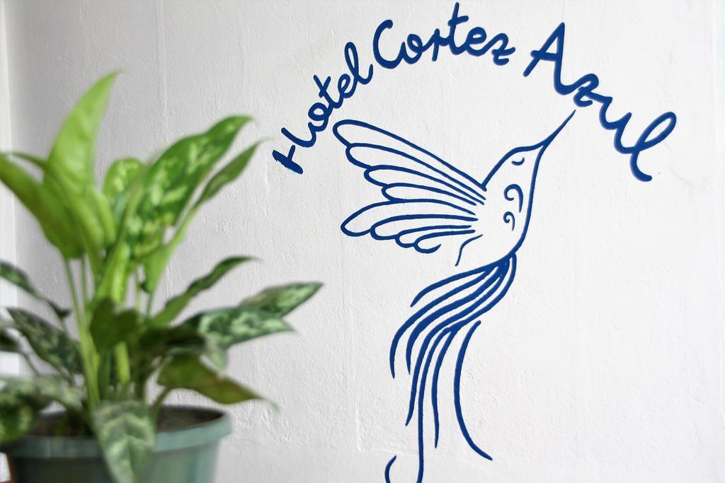 Hotel Cortez Azul 알라후엘라 외부 사진